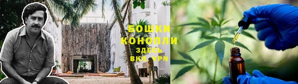 скорость Вяземский