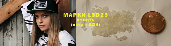 скорость Вяземский