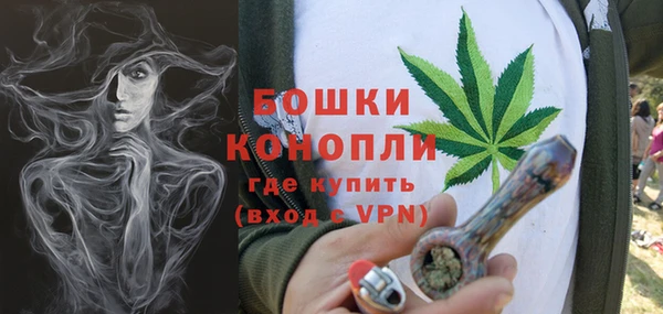 скорость Вяземский