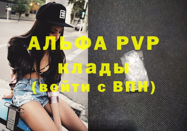 скорость Вяземский
