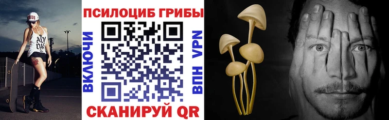 Псилоцибиновые грибы Magic Shrooms  Купить закладки  Чайковский 